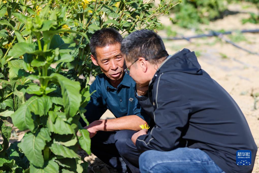 捕鱼游戏单机版